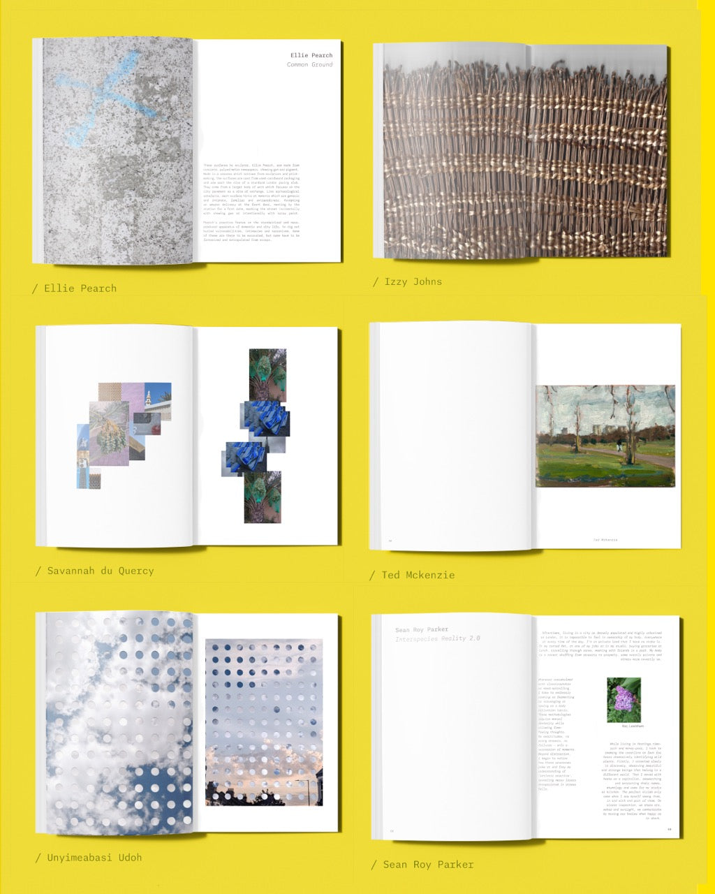taking air : gathered notes on walking in cities