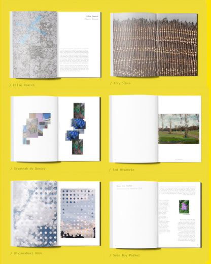 taking air : gathered notes on walking in cities