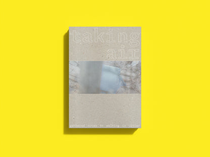 taking air : gathered notes on walking in cities