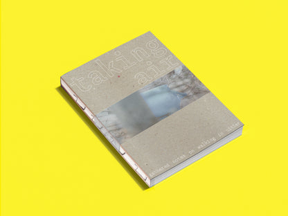 taking air : gathered notes on walking in cities